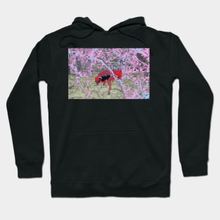 Bull / Swiss Artwork Photography Hoodie